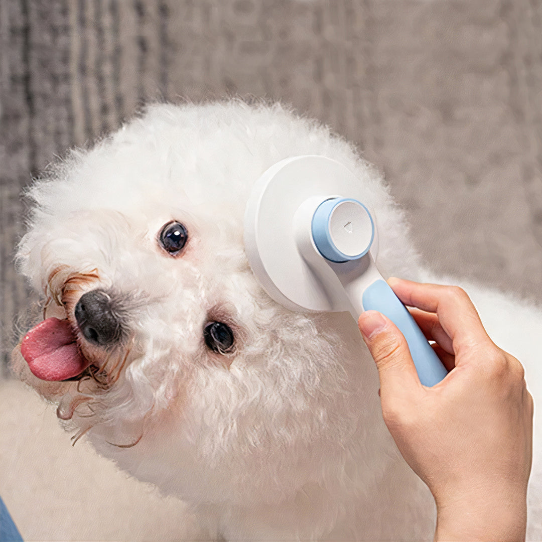 Boldivo™ Zelf Schoonmakende Kattenborstel
