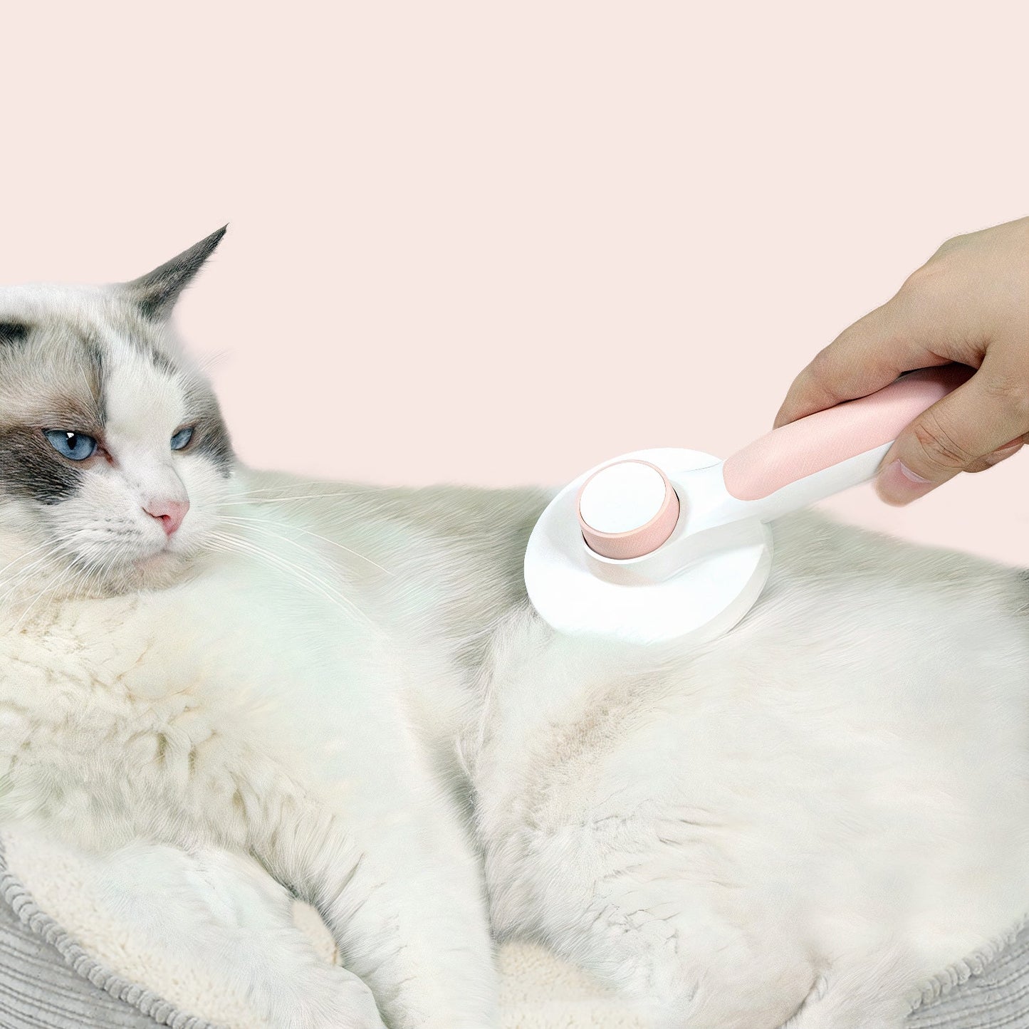 Boldivo™ Zelf Schoonmakende Kattenborstel