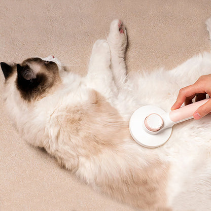 Boldivo™ Zelf Schoonmakende Kattenborstel